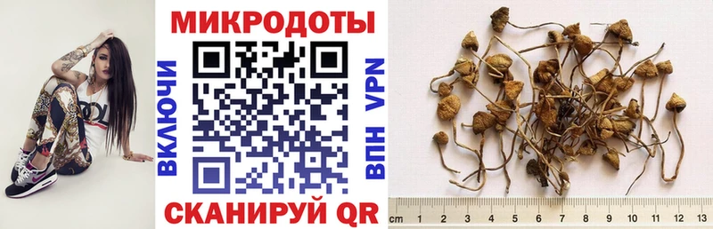Галлюциногенные грибы мицелий  Пойковский 
